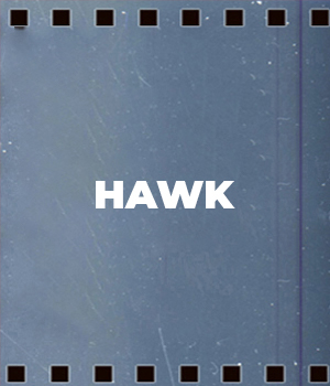 Hawk