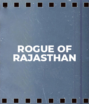 Rogue Of Rajasthan