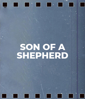 Son Of A Shepherd