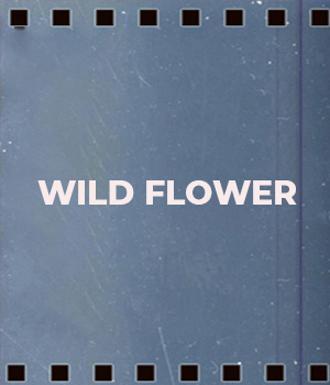 Wild Flower