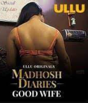 Madhosh Diaries - Good Wife