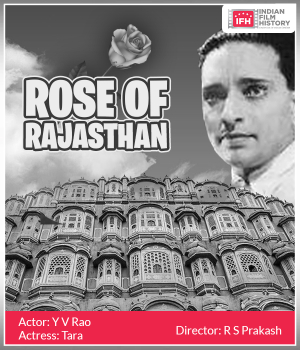 Rose Of Rajasthan