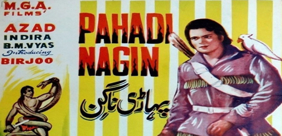 Pahadi Nagin