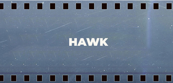 Hawk