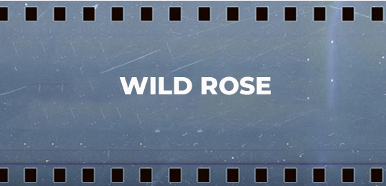 Wild Rose