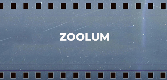 Zoolum