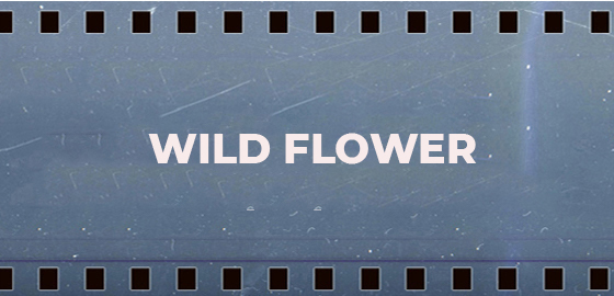 Wild Flower