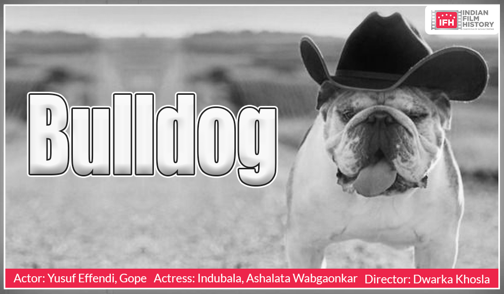 Bulldog