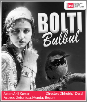 Bolti Bulbul